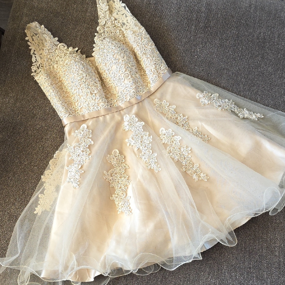 Chic Champagne Lace Mini Dress With Sparkles